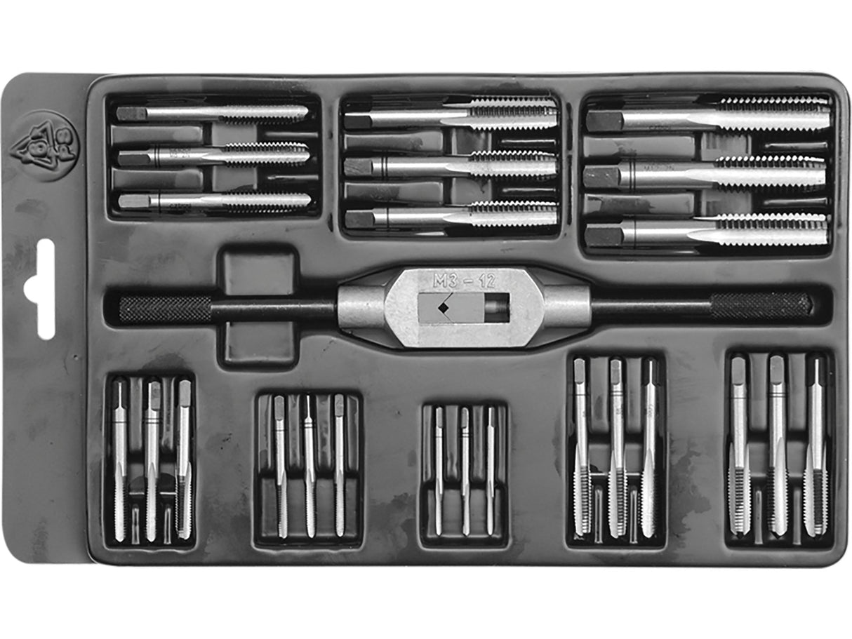 TRUSA TAROZI M3 CZTOOL 24940 - M12, 25 PIESE