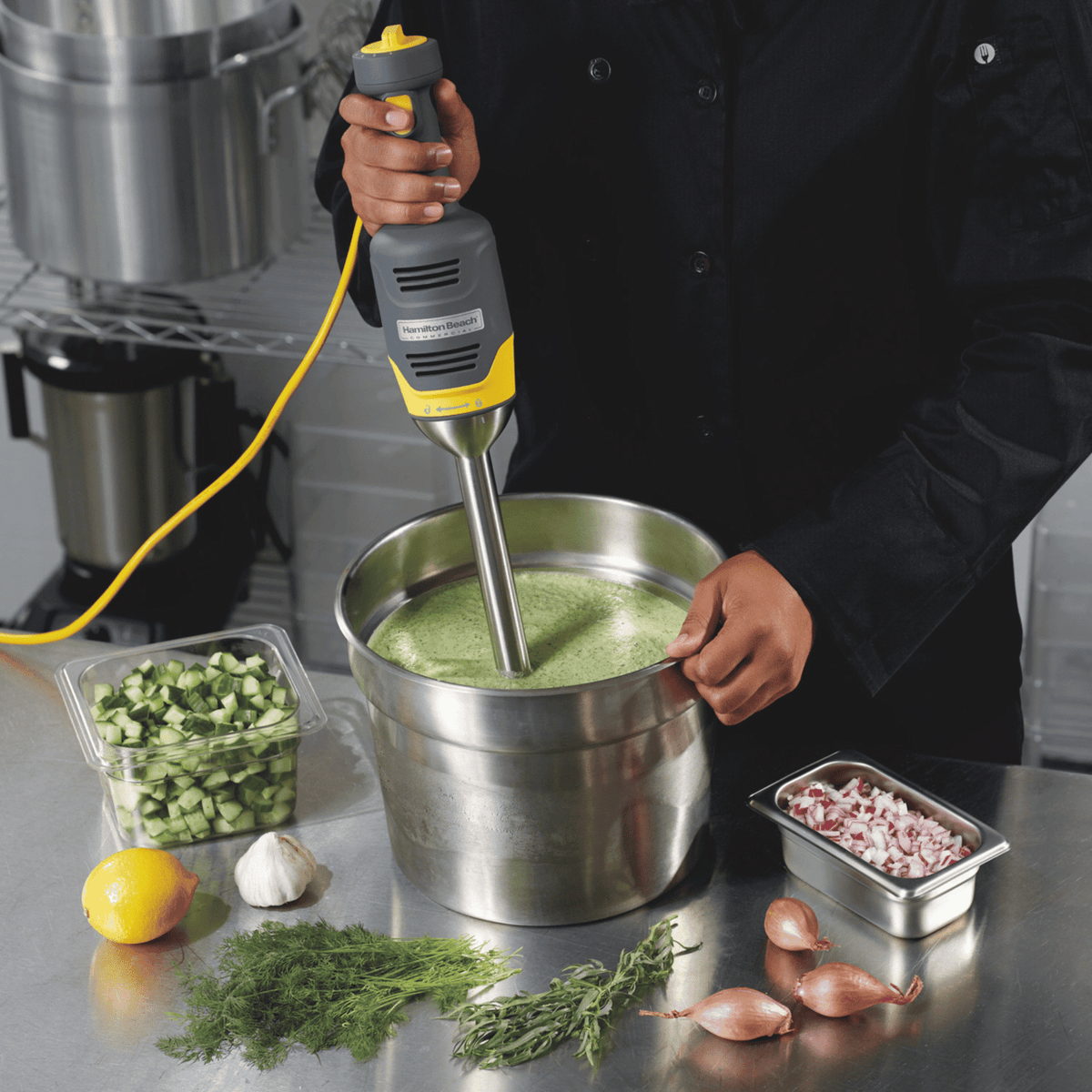 Blender stick BigRig HMI009-CE, Hamilton Beach Commercial, 230V/250W