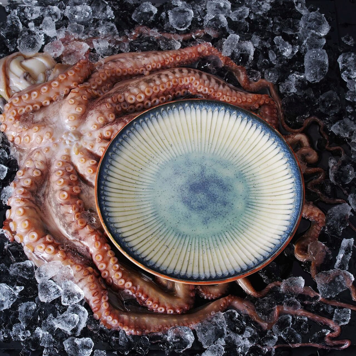 Bol Galaxy, 200 mm Fine Dine