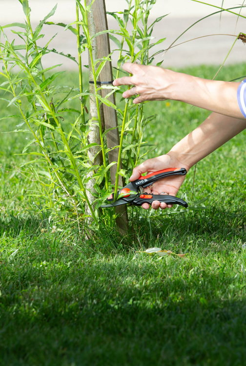 FOARFECA POMI 210MM-19MM YATO YT-8809