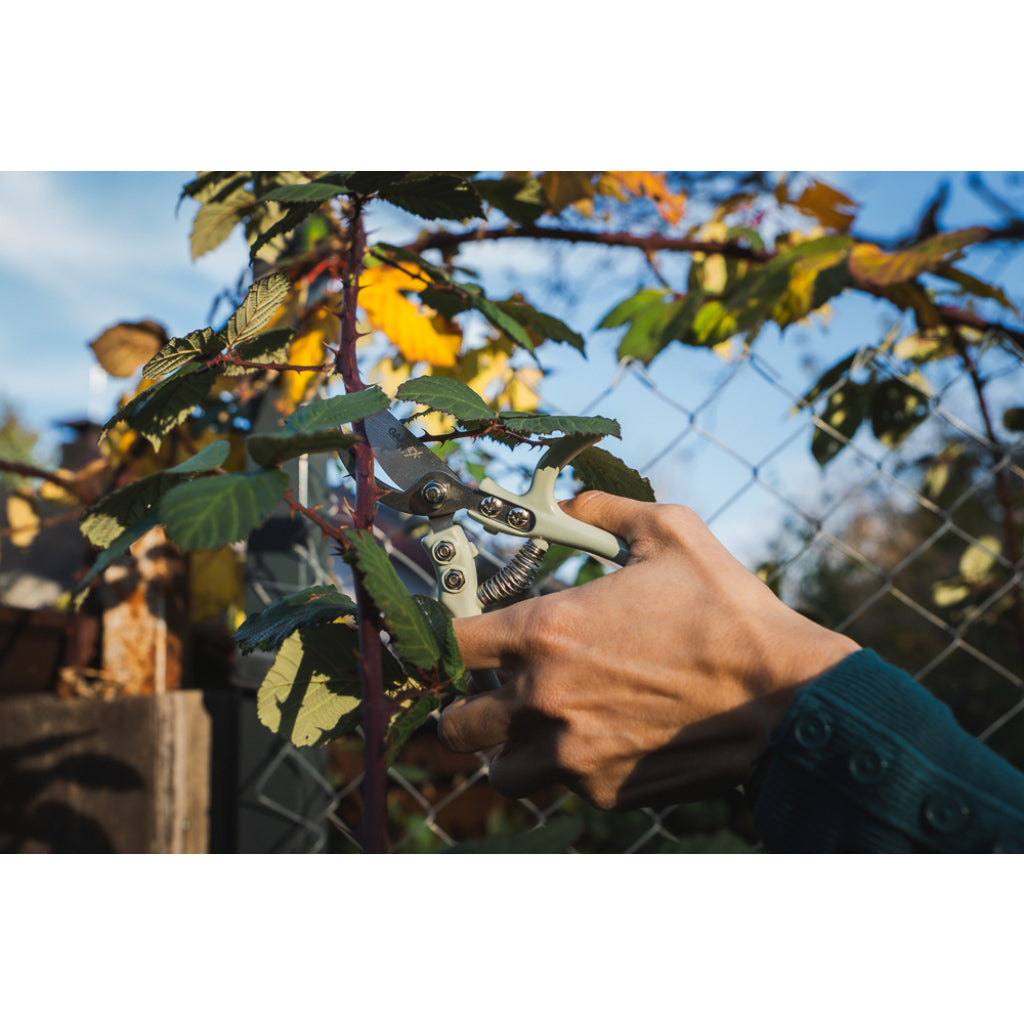 GARDEX Foarfeca MINI GX Lame din oțel inoxidabil Design compact