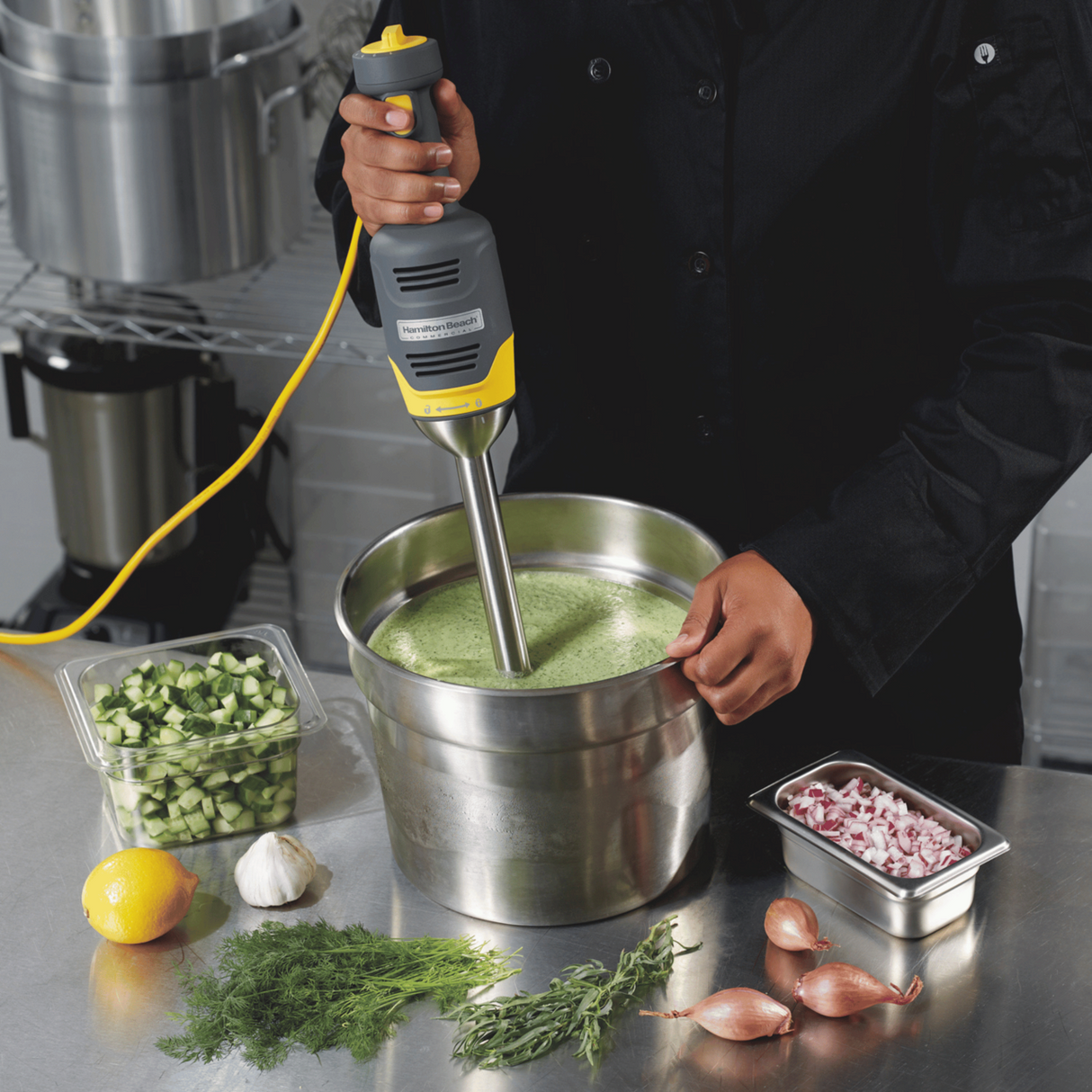 Blender stick BigRig HMI009-CE, Hamilton Beach Commercial,  230V/250W
