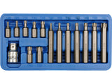 15 DARABOS KÉSZLET VOREL 66580 TORX BITS, CR-V 