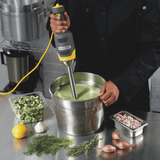 Blender stick BigRig HMI009-CE, Hamilton Beach Commercial,  230V/250W