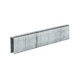 Capse originale Einhell pentru capsatoare cu aer comprimat (accesorii pentru capsatoare, 3.000 buc, 5,7 x 16 mm, compatibile cu toate capsatoarele cu aer comprimat Einhell si capsatoarele fara cablu) Einhell - scule electrice si unelte profesionale - BricoMart