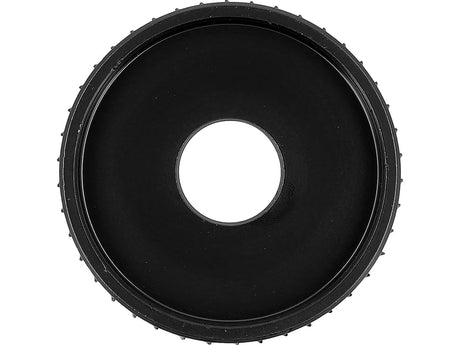 DISC RASPEL PENTRU LEMN 75MM Yato YT - 59145 Yato - scule electrice si unelte profesionale - BricoMart