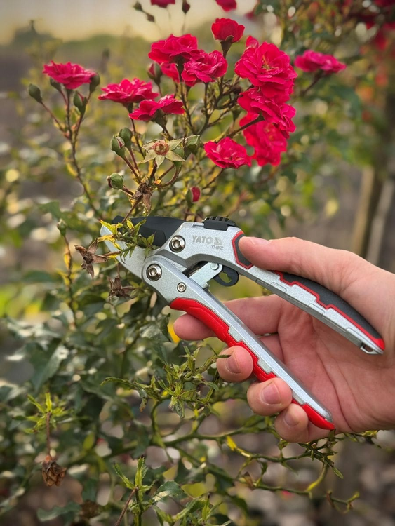 Foarfecă grădină cu clichet 190 mm Yato YT - 88122 Yato - scule electrice si unelte profesionale - BricoMart