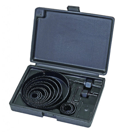 RAIDER 16Pcs/Set freza gaurire 19 - 127mm Este folosit pentru diferite tipuri de lemn, furniruri, rigips, Cutie de transport utila Raider - scule electrice si unelte profesionale - BricoMart