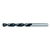 RAIDER Burghiu pt. lemn Ø10 mm 1pcs Cu coada cilindrica Pentru gaurire precisa in lemn Raider - scule electrice si unelte profesionale - BricoMart