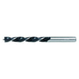 RAIDER Burghiu pt. lemn Ø12 mm 1pcs Cu coada cilindrica Pentru gaurire precisa in lemn Raider - scule electrice si unelte profesionale - BricoMart