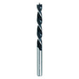 RAIDER Burghiu pt. lemn Ø3 mm 2pcs Cu coada cilindrica Pentru gaurire precisa in lemn Raider - scule electrice si unelte profesionale - BricoMart