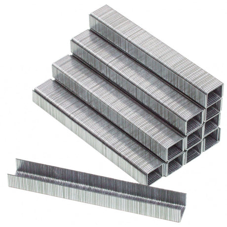 RAIDER Capse pentru RD-AS04 14x10x1.2mm 5000pcs. Fabricate din otel galvanizat Raider - scule electrice si unelte profesionale - BricoMart