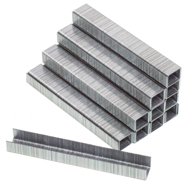 RAIDER Capse pentru RD - AS04 20x10x1.2mm 5000pcs. Fabricate din otel galvanizat Raider - scule electrice si unelte profesionale - BricoMart