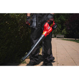 RAIDER R20 Suflanta frunze 180km/h 5m3/min Solo RDP - YBL20 Suflanta „RDP - YBL20” este puternica si fiabila, perfecta pentru curatarea frunzelor, ierbii si resturilor usoare din gra Raider - scule electrice si unelte profesionale - BricoMart