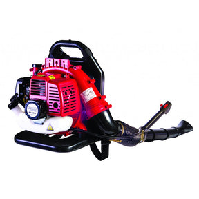 RAIDER Suflanta pe benzina tip rucsac 43cc 1.25kw RD - GB06 Pornire manuala Comfortable carrying on the back Raider - scule electrice si unelte profesionale - BricoMart