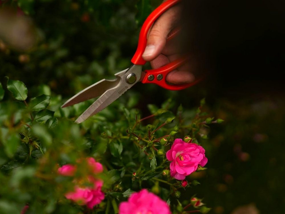 Kerti olló 215 mm, rozsdamentes acél Yato YT-87861 