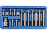 15 DARABOS KÉSZLET VOREL 66580 TORX BITS, CR-V 