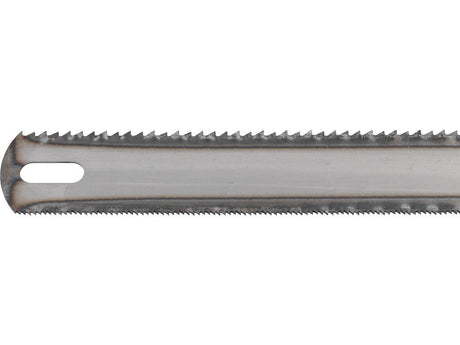 SET PANZE DE NO NAME 27506 BOMFAIER LEMN-METAL 20X300MM NO NAME - scule electrice si unelte profesionale - BricoMart