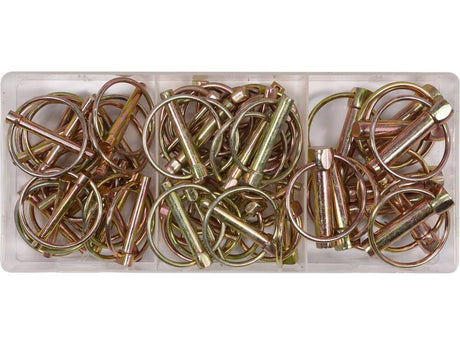 SET PINI PENTRU YATO YT-06787 SECURIZAT, 50 BUC YATO - scule electrice si unelte profesionale - BricoMart