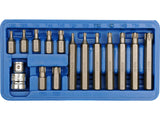 TRUSA 15 PIESE VOREL 66580 BITI TORX, CR - V VOREL - scule electrice si unelte profesionale - BricoMart